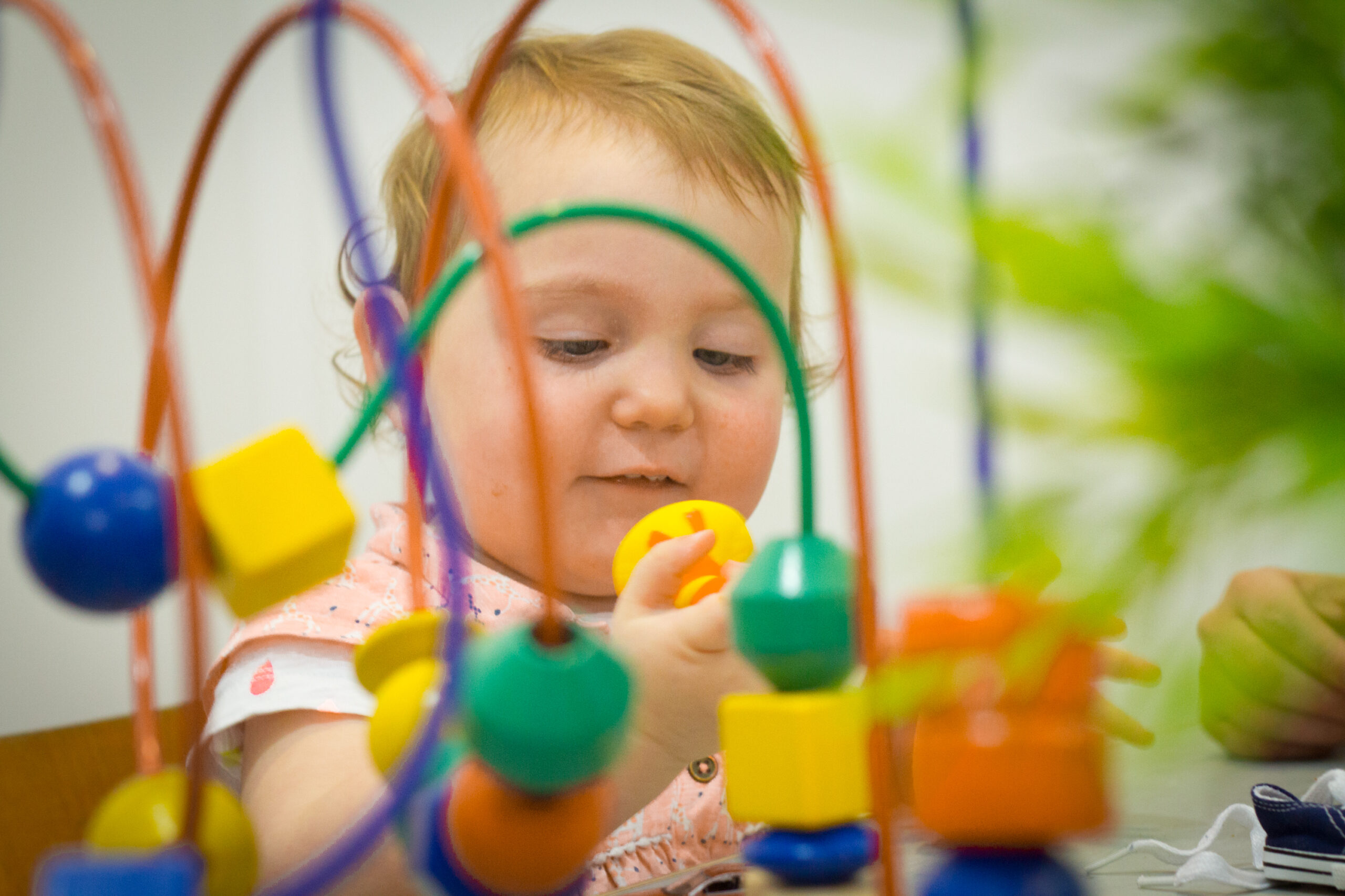 Developmental Assessment