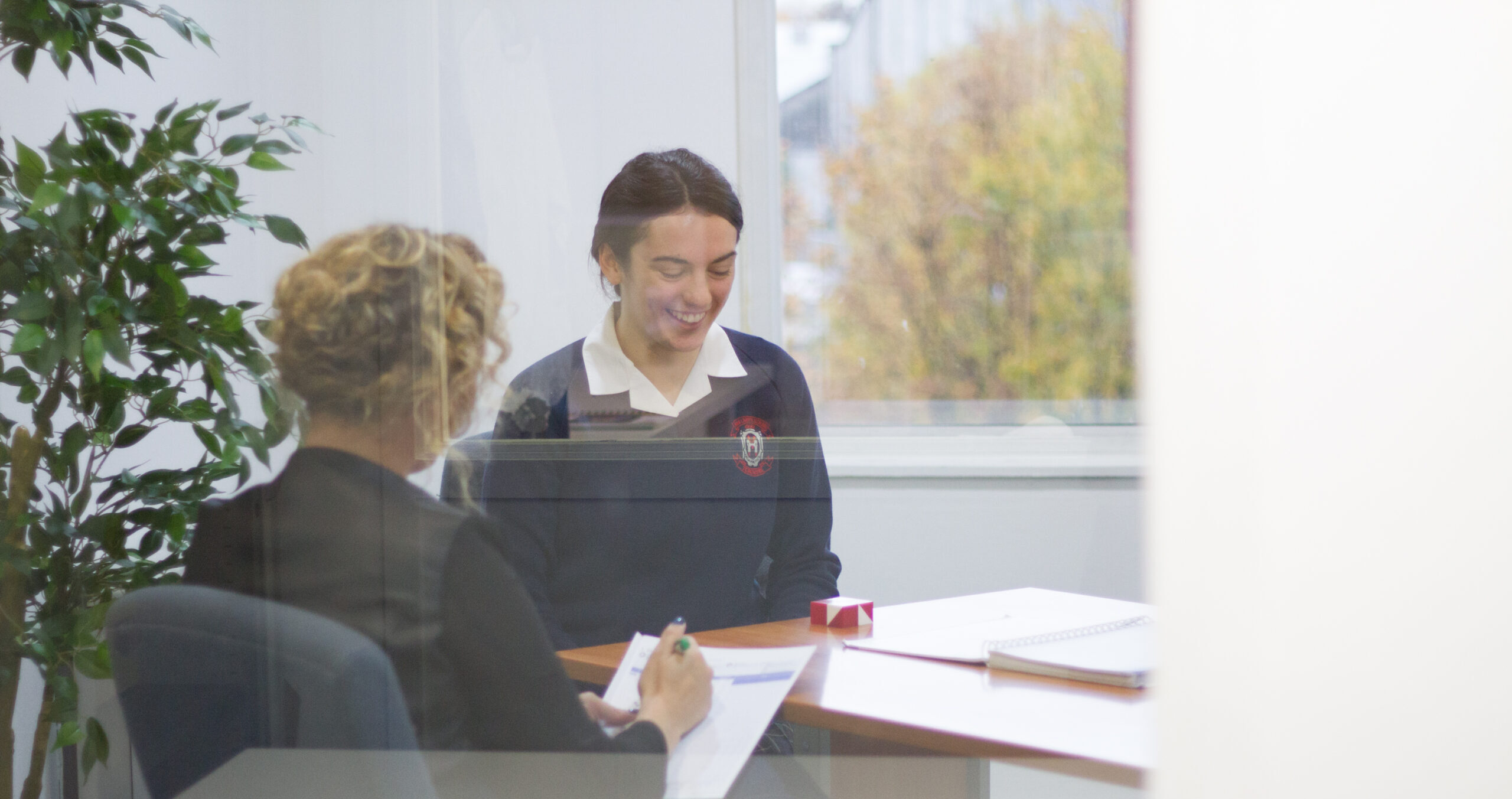 Consultation with a Psychologist