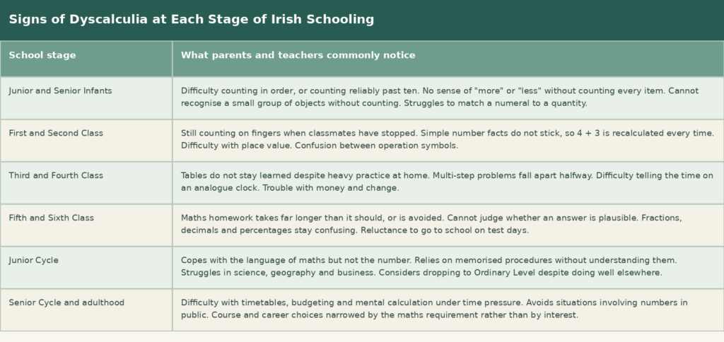 Signs of Dyscalculia at Each Stage Table